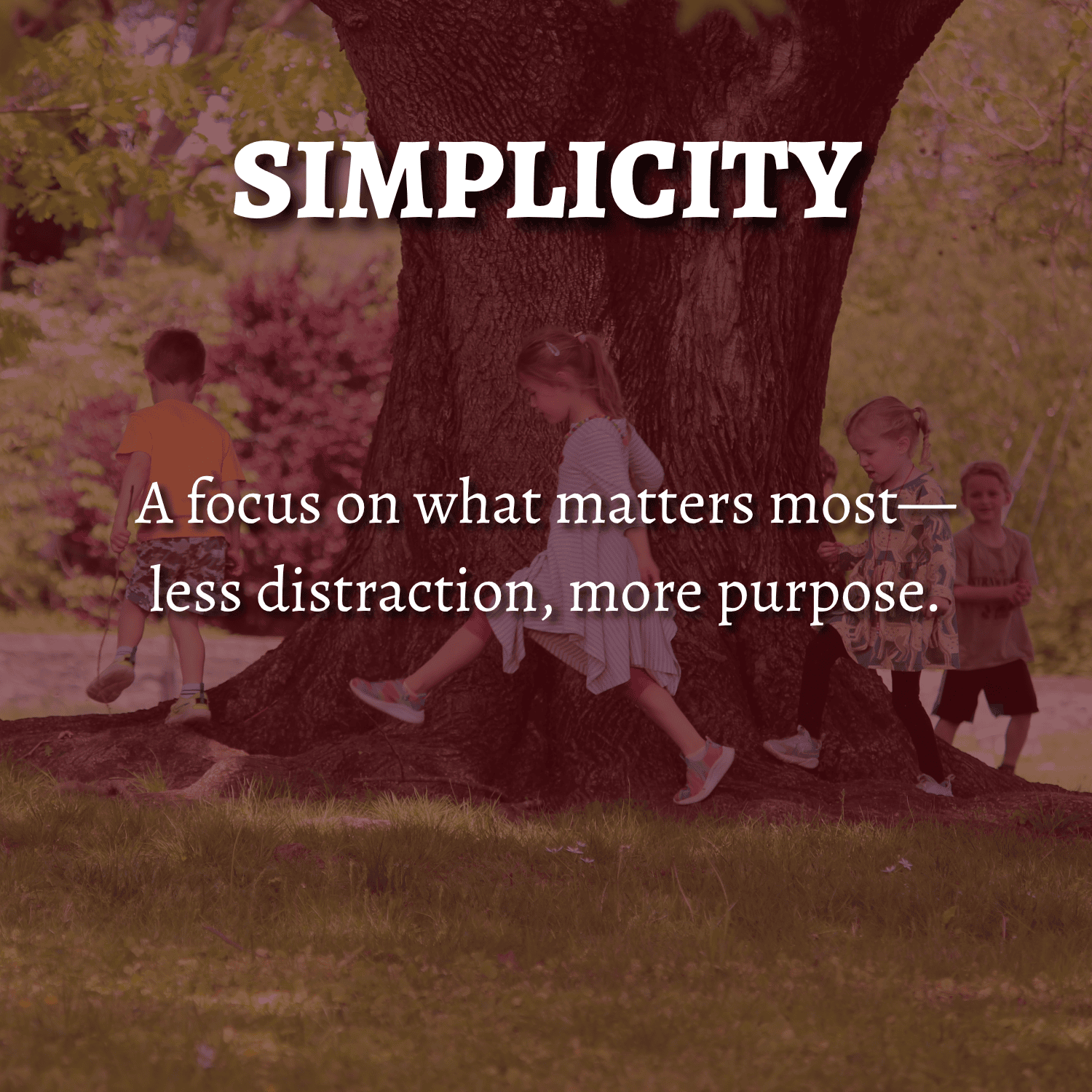 PMFS Landing Page Graphics-3